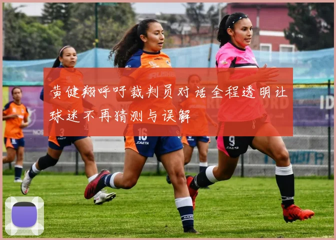黄健翔呼吁裁判员对话全程透明让球迷不再猜测与误解